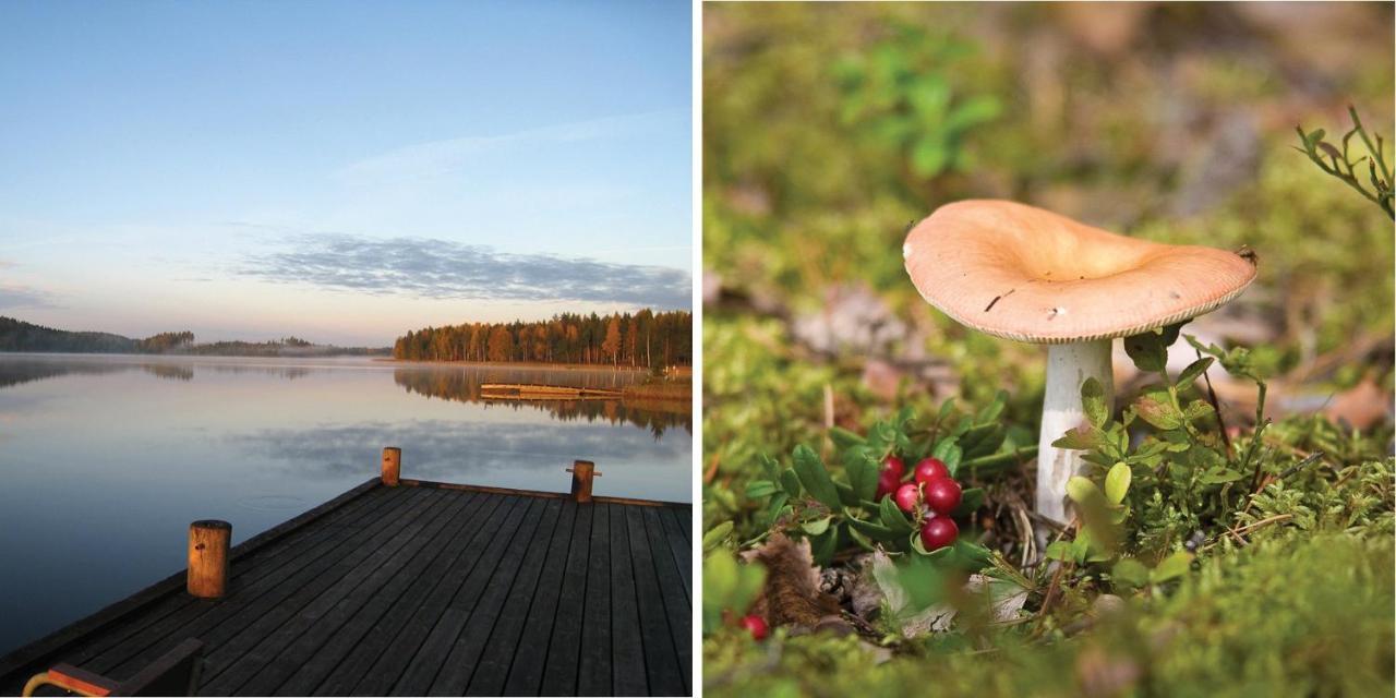 Saimaanranta Resort By Anttolanhovi Mikkeli/Sankt Michel Eksteriør bilde